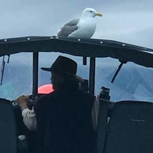 Meet your Posher, Ronald